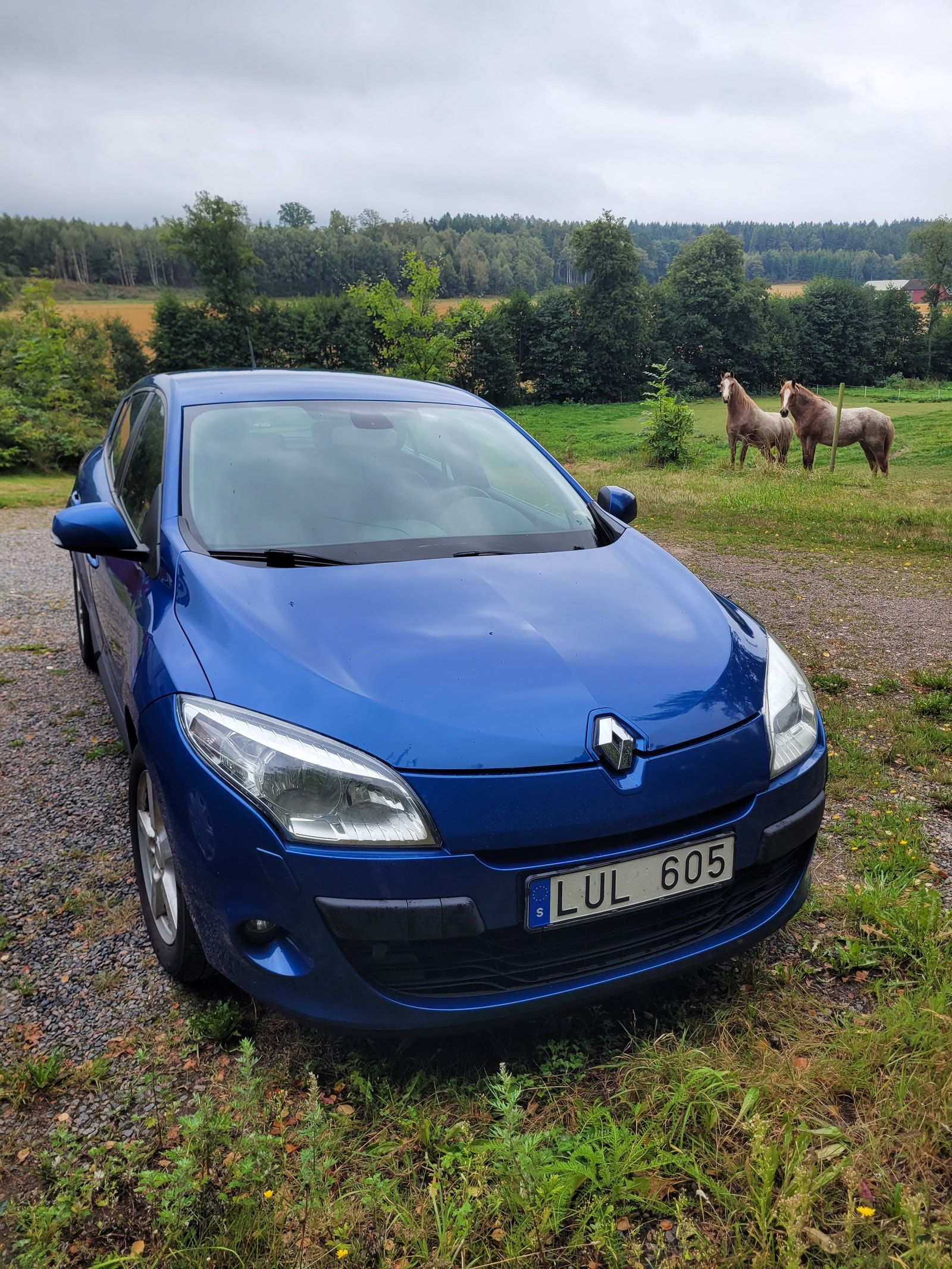 Renault Mégane 1.6 E85 Manual, 110hp, 2011