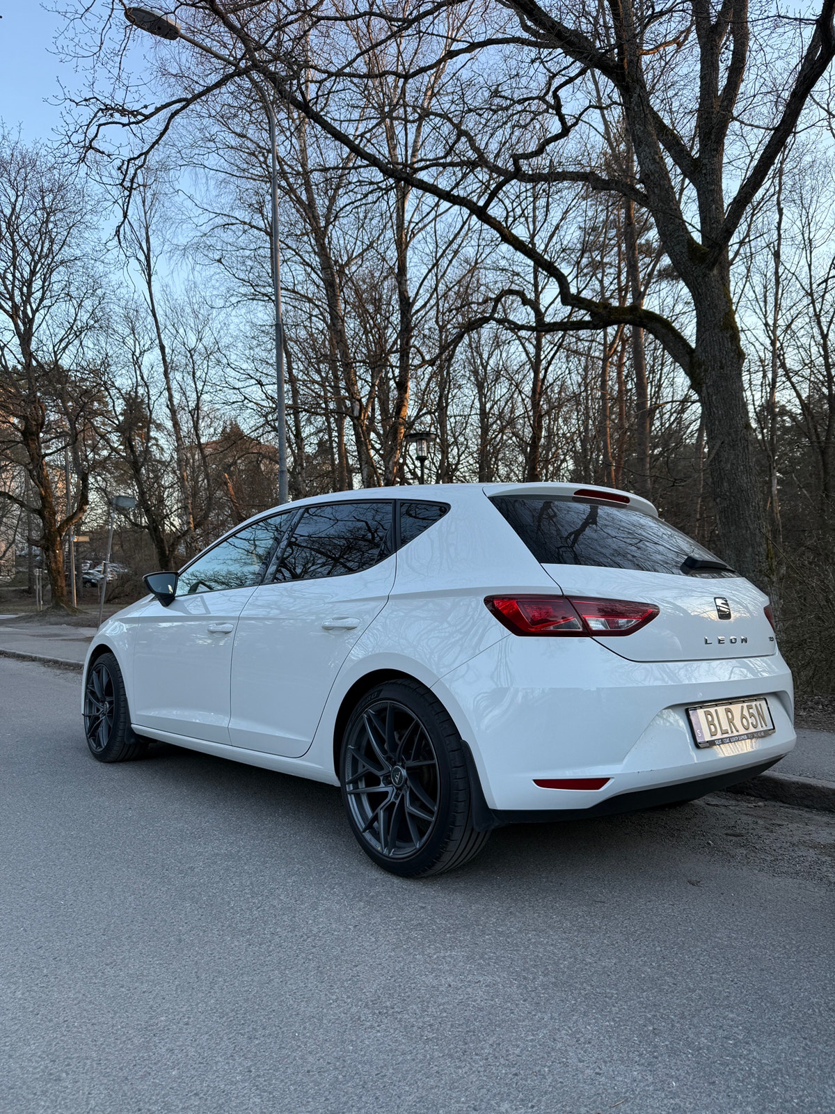 SEAT León 1.6 TDI DSG Sequential, 110hp, 2016