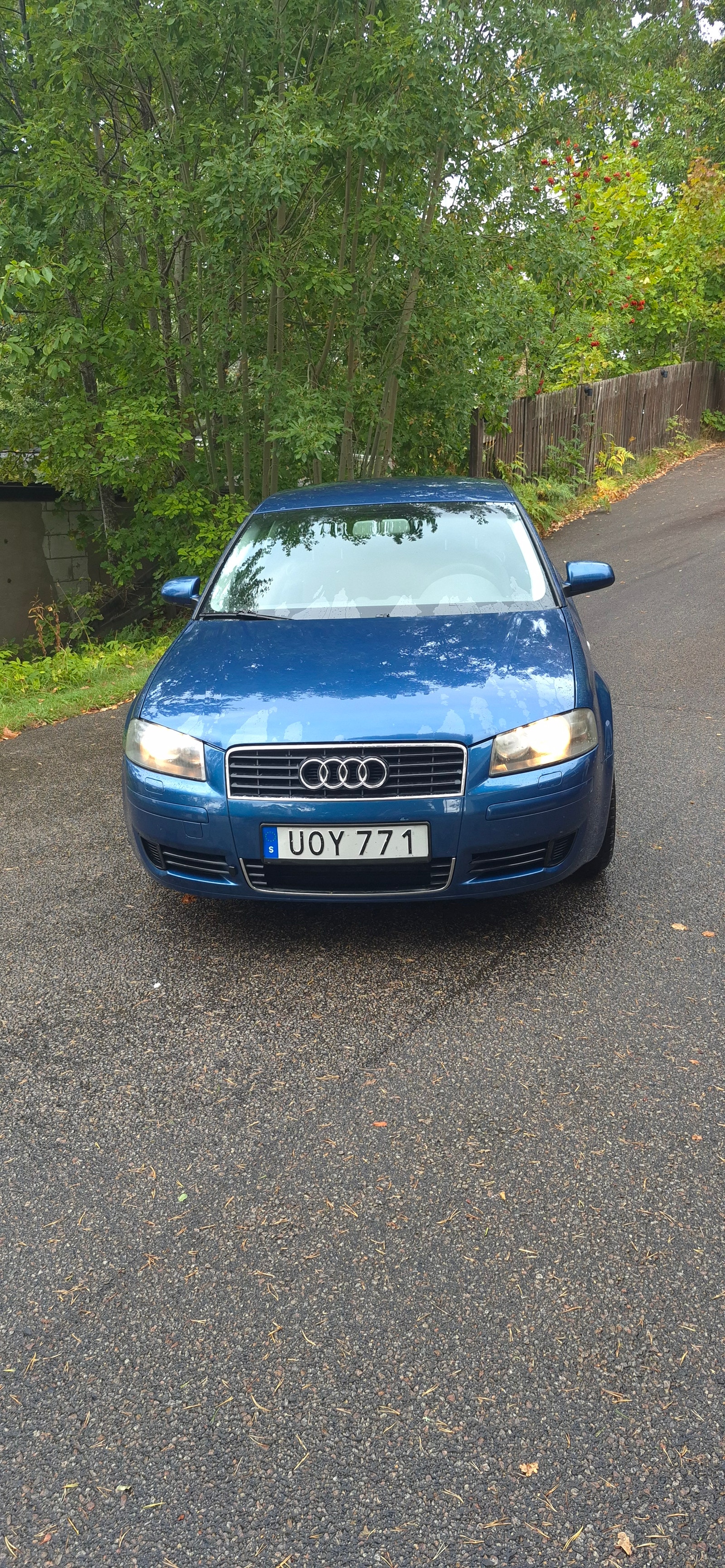 Audi A3 1.6 8v Manual, 102hp, 2004