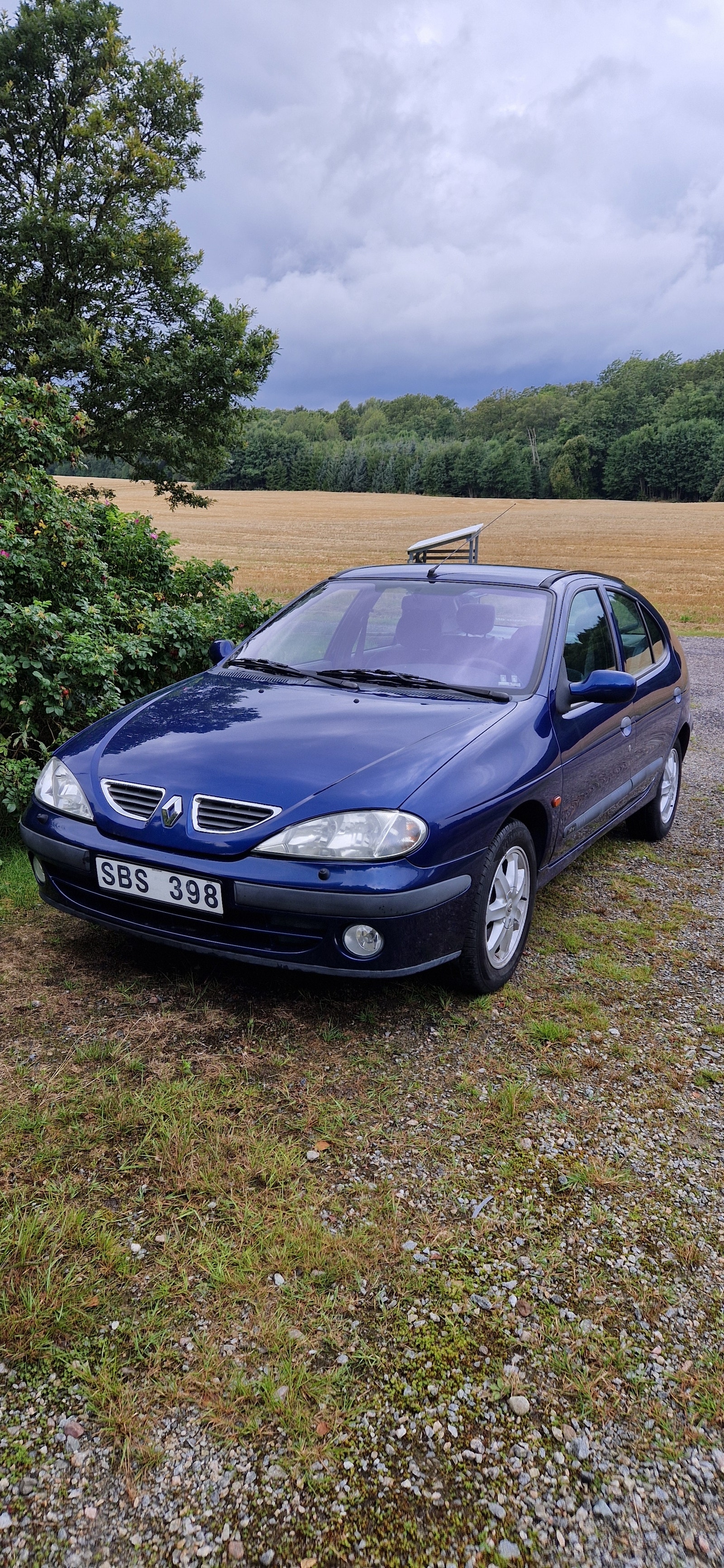 Renault Mégane 1.4 Manual, 95hp, 2001