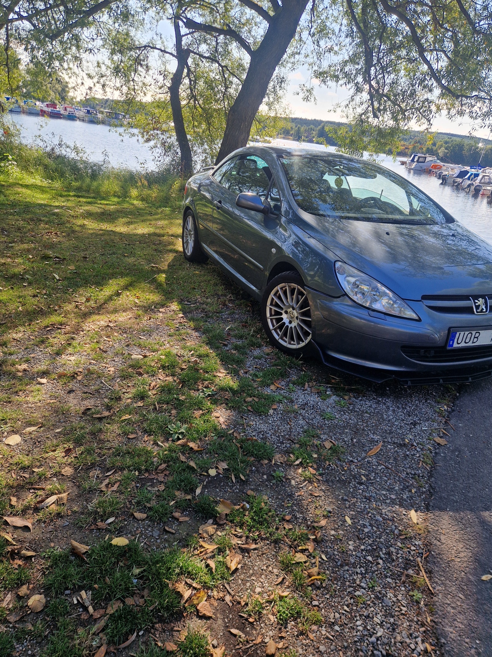 Peugeot 307 CC 2.0 Manual, 136hp, 2004