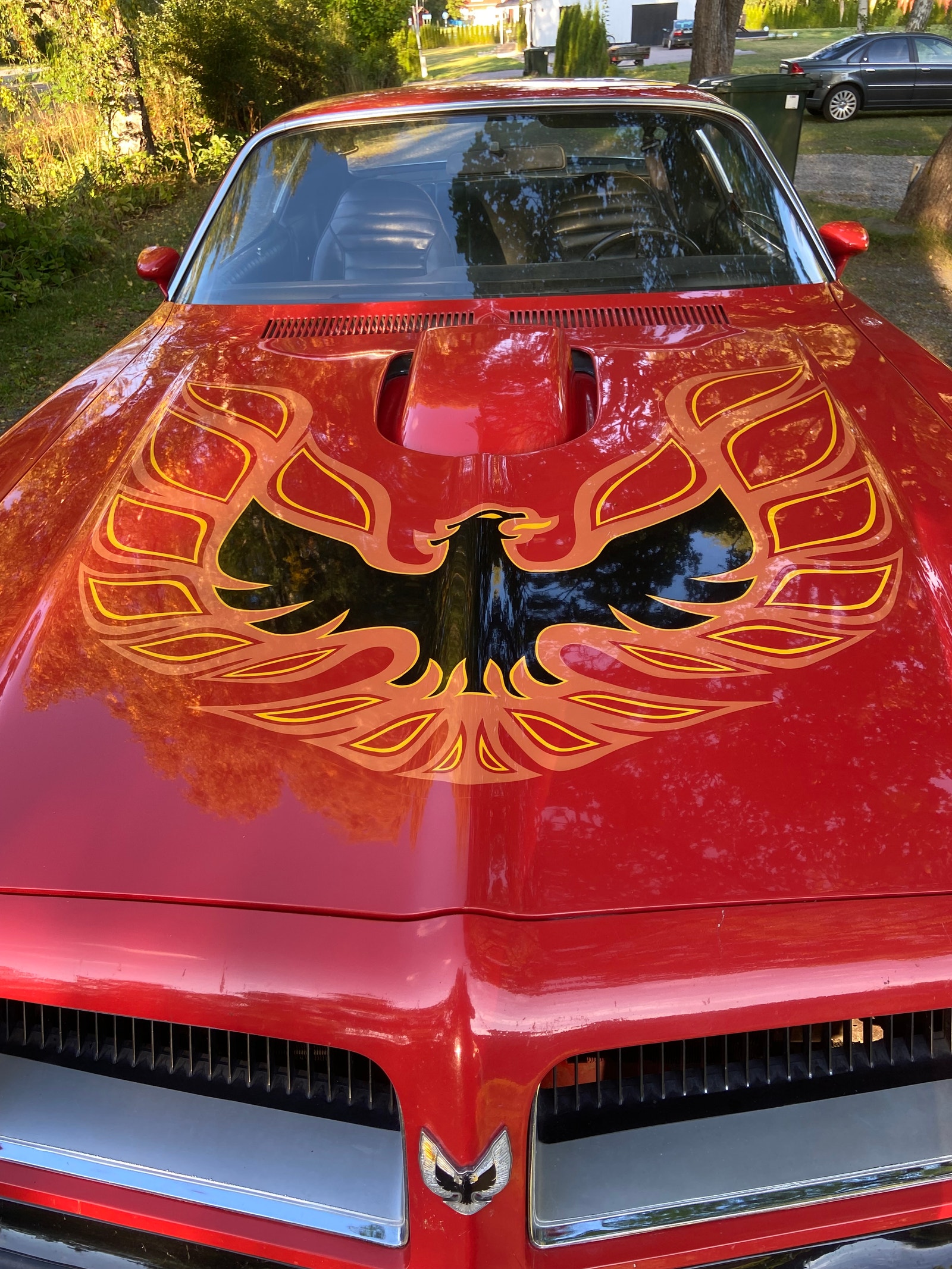 Pontiac Firebird Trans Am 6.6 V8 Manual, 228hp, 1974