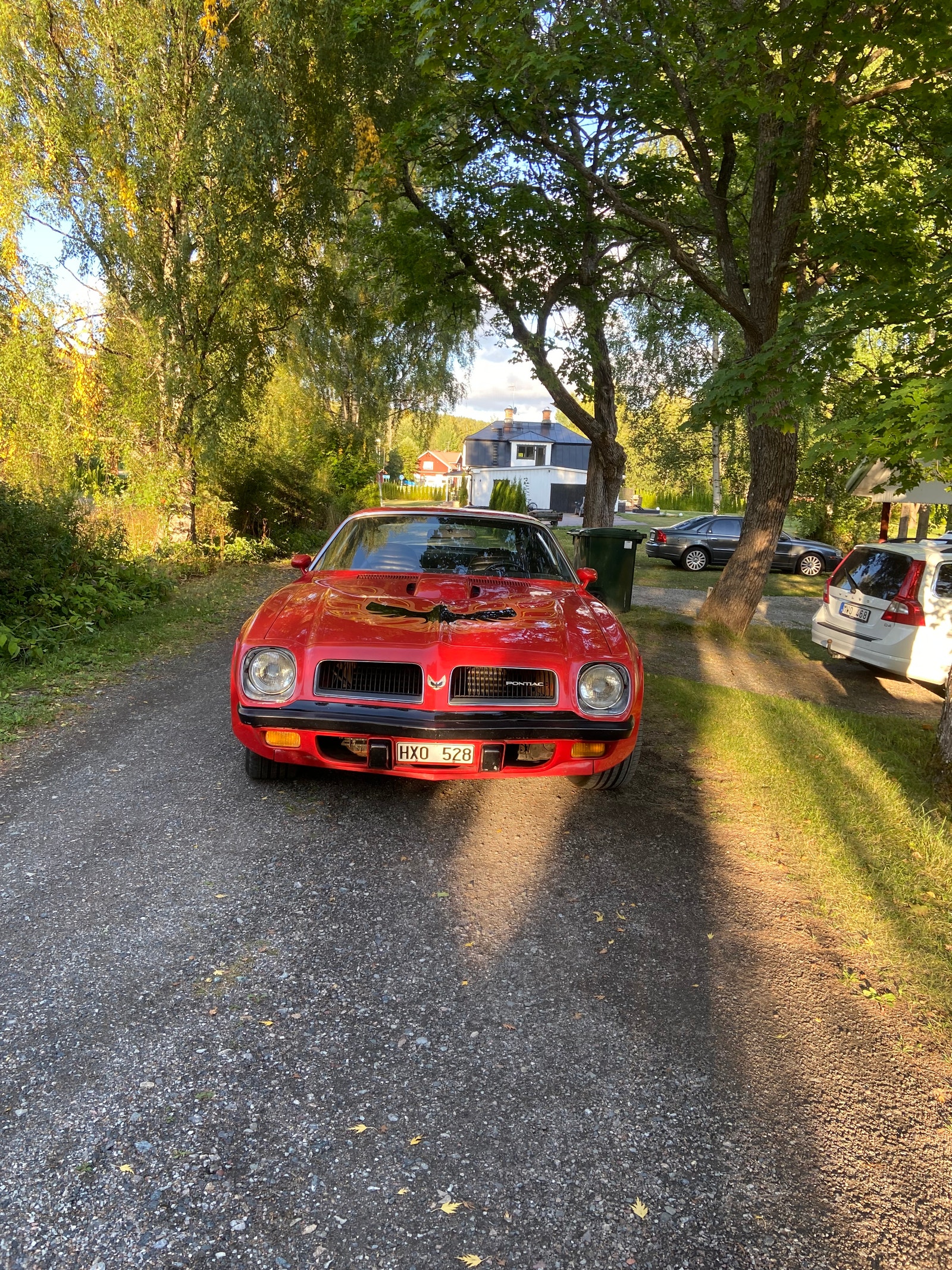 Pontiac Firebird Trans Am 6.6 V8 Manual, 228hp, 1974