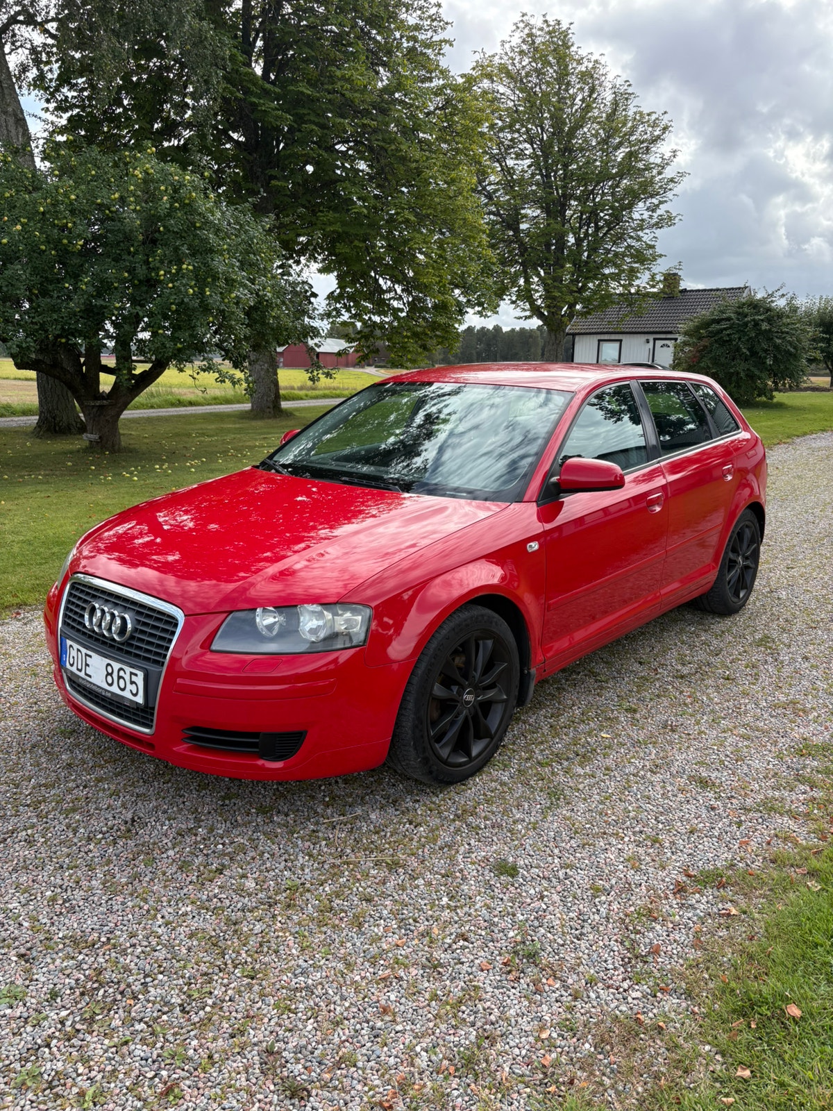 Audi A3 Sportback 1.9 TDI 8v DPF Manual, 105hp, 2007