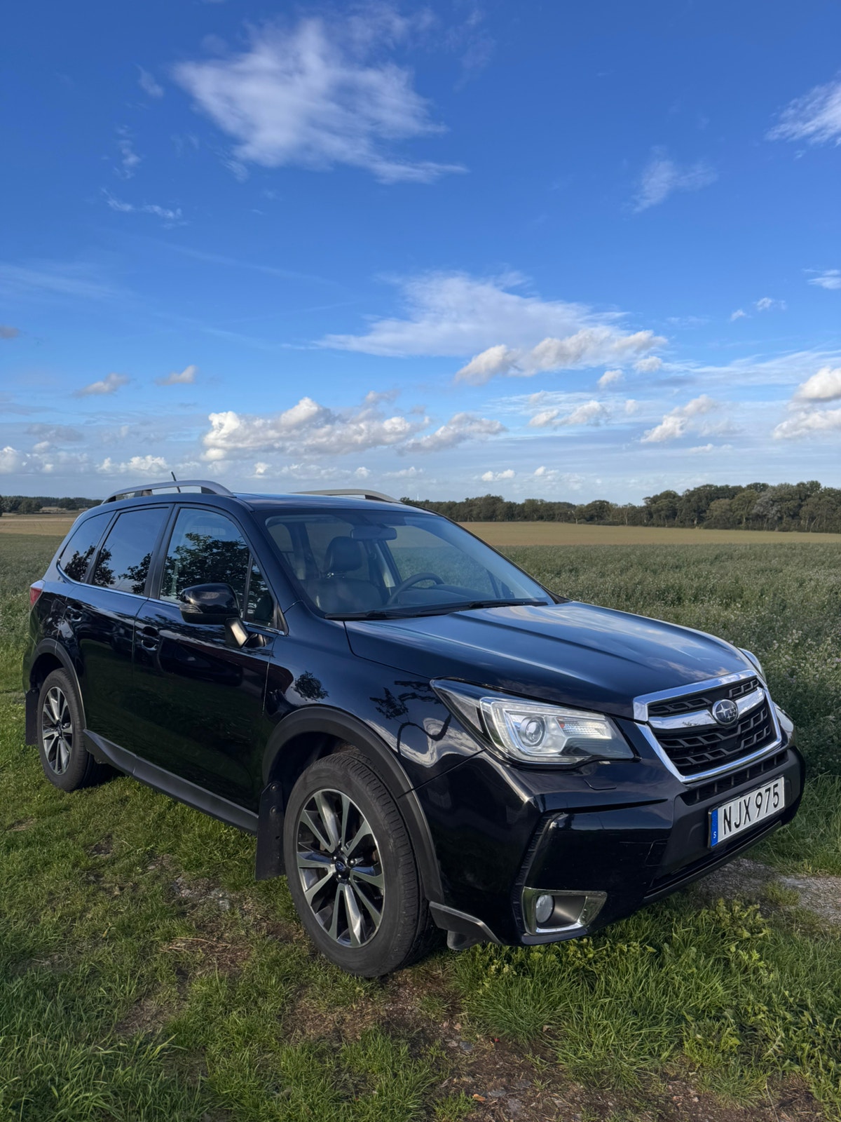 Subaru Forester 2.0 4WD Lineartronic, 241hk, 2016