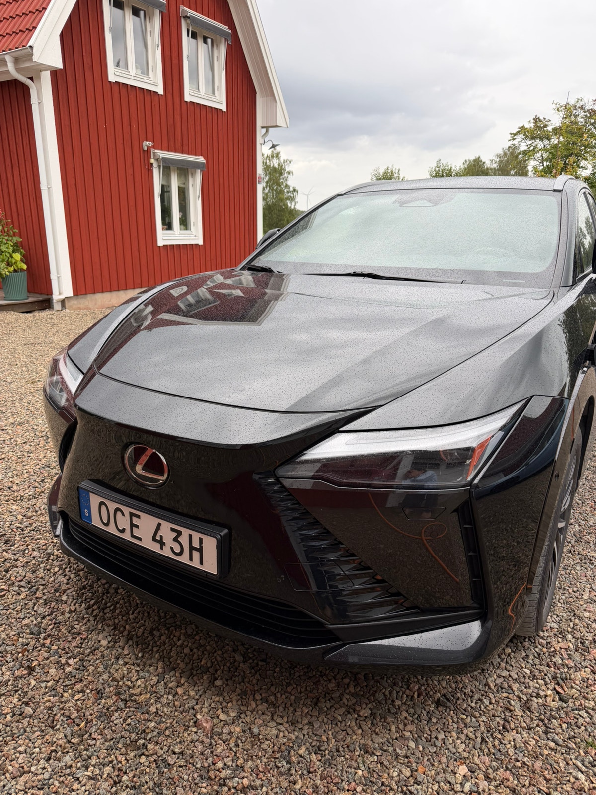 Lexus RZ 450e, 313ps, 2024