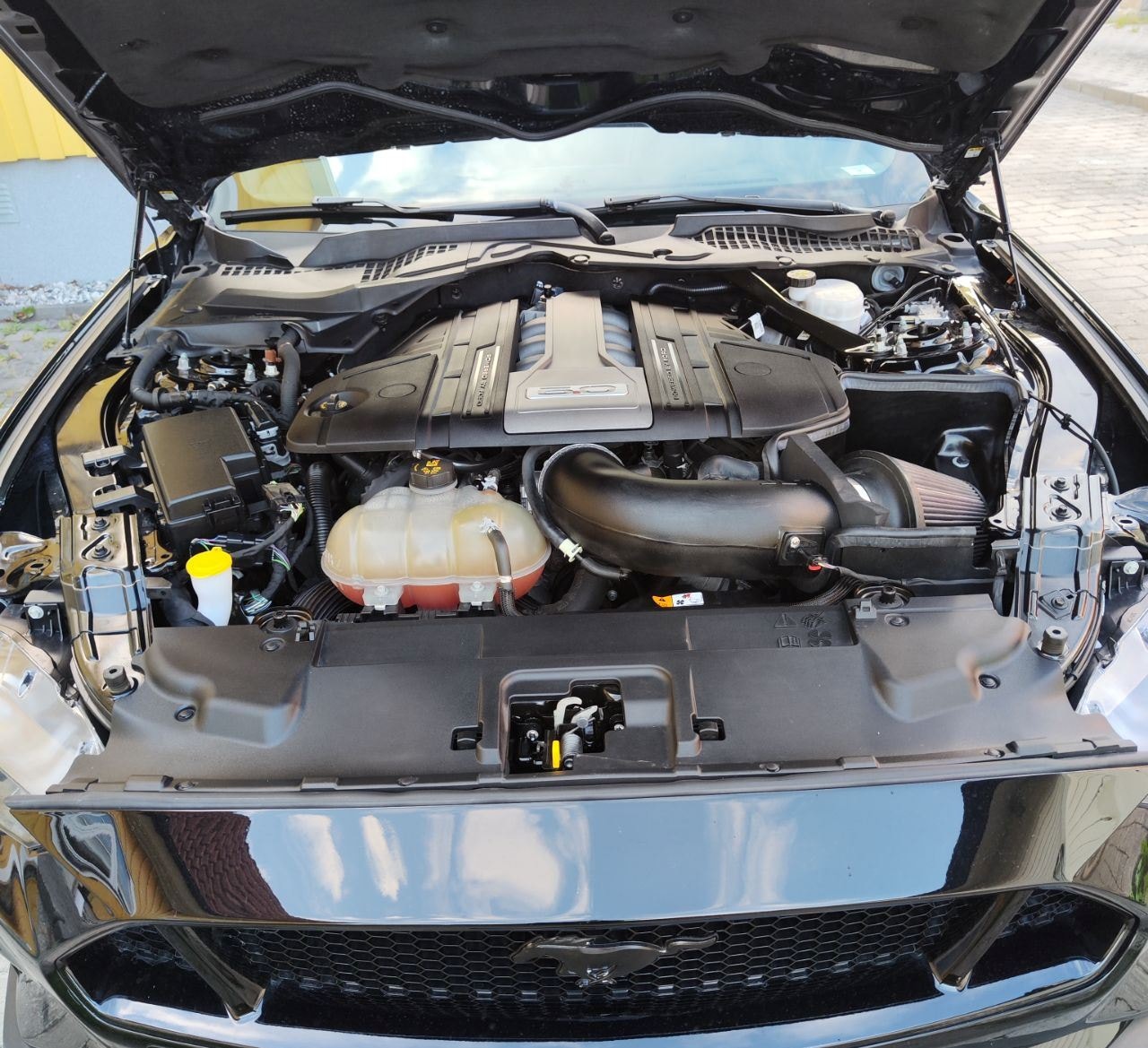 Ford Mustang GT SelectShift, 10-trinn, 450hk, 2018