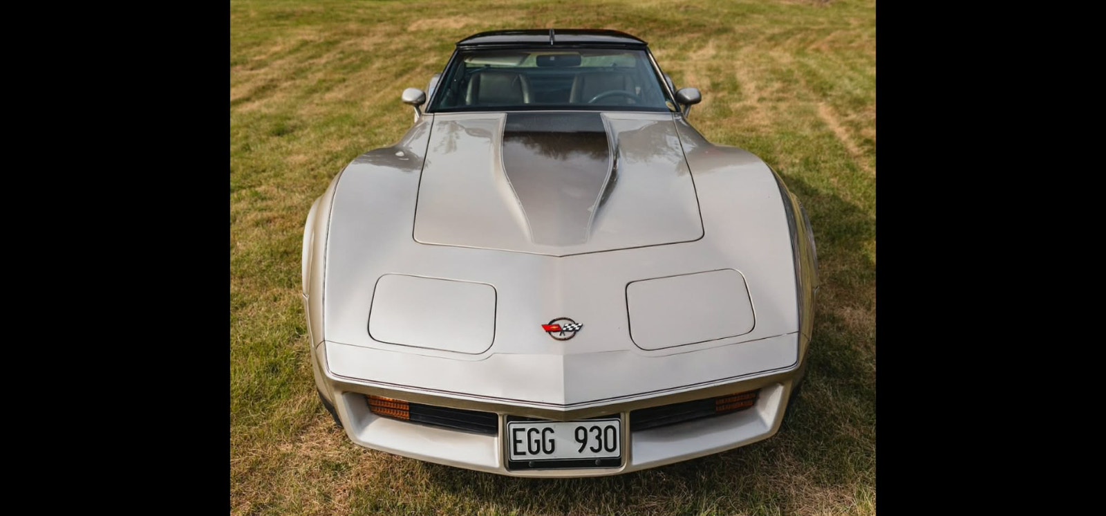 Chevrolet Corvette Collector Edition Hydra-Matic, 203hp, 1982