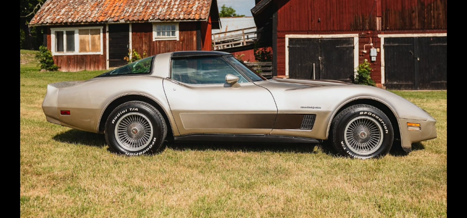 Chevrolet Corvette Collector Edition Hydra-Matic, 203hp, 1982