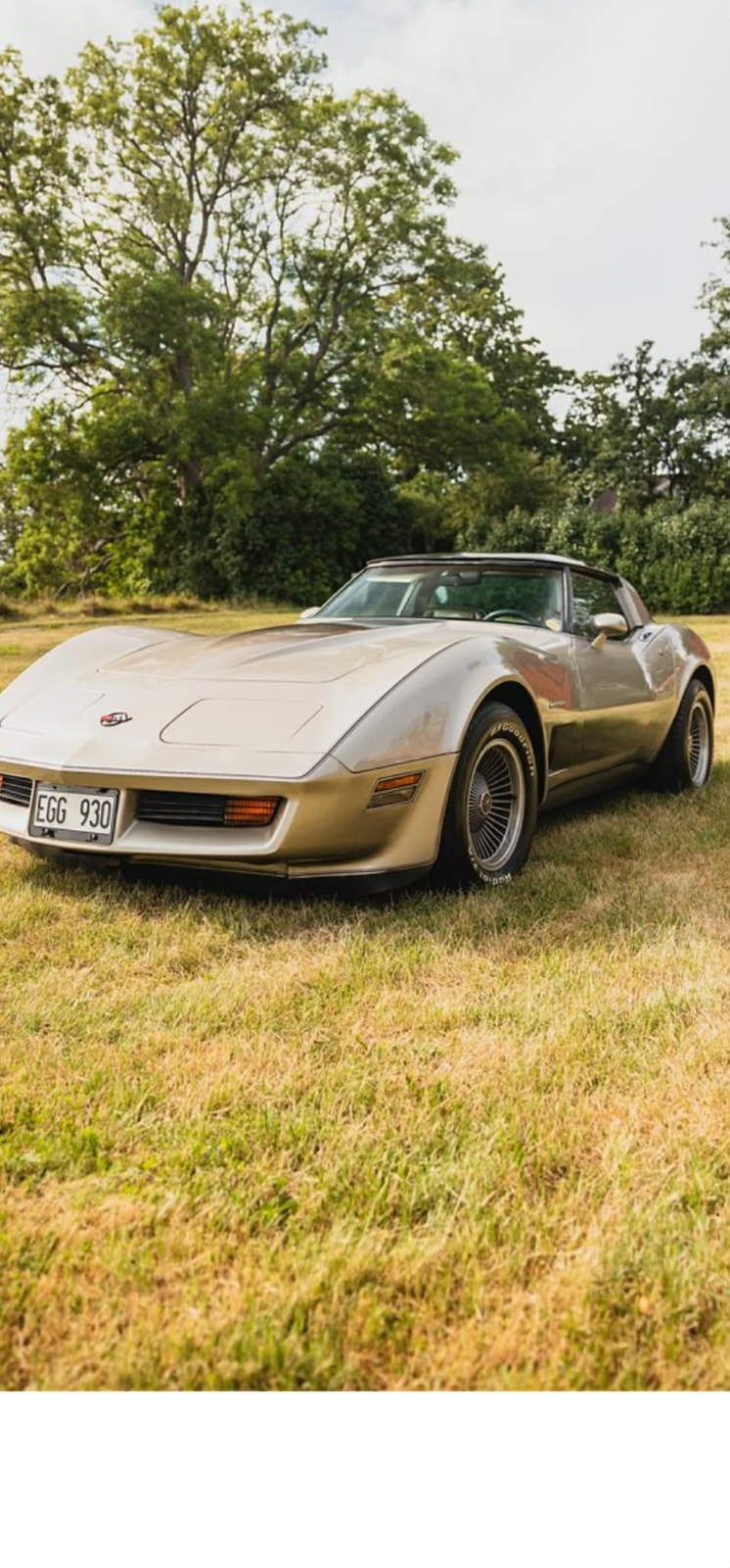 Chevrolet Corvette Collector Edition Hydra-Matic, 203hp, 1982