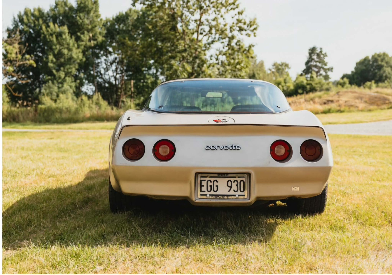 Chevrolet Corvette Collector Edition Hydra-Matic, 203hp, 1982