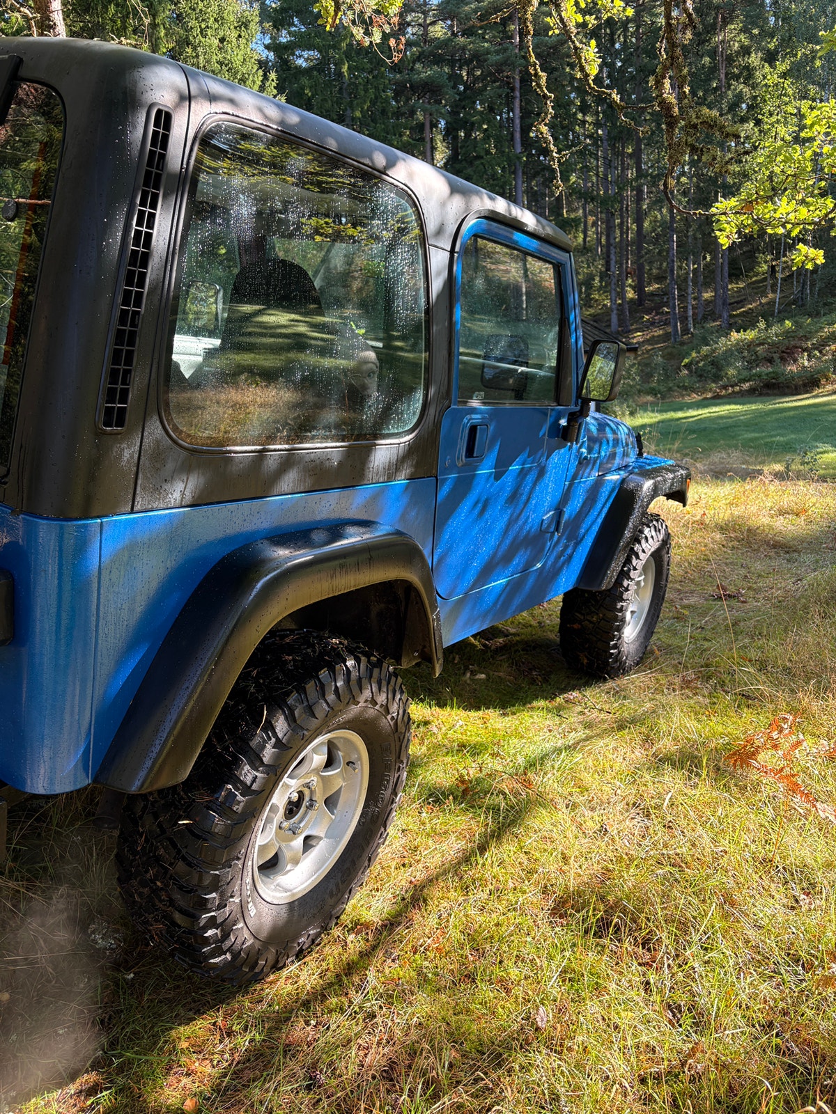 Jeep Wrangler 4.0 4WD Manuell, 183hk, 1997