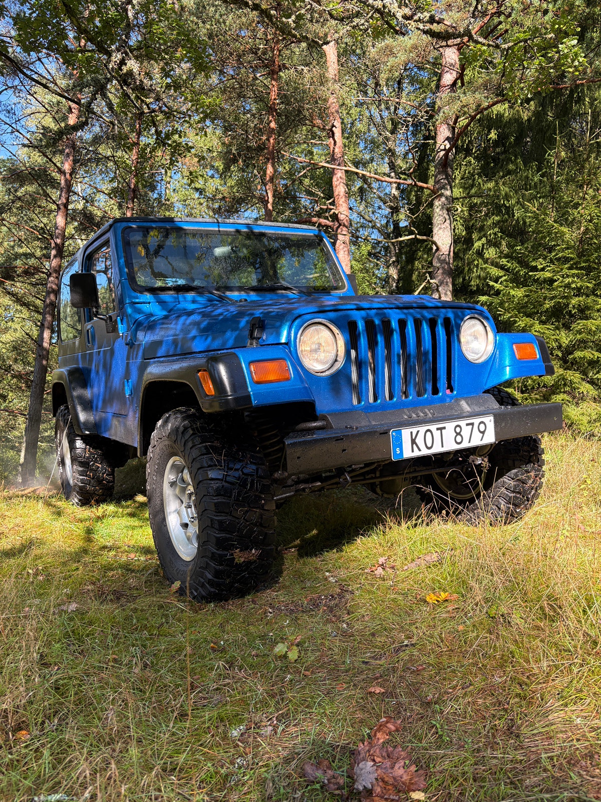 Jeep Wrangler 4.0 4WD Manuell, 183hk, 1997