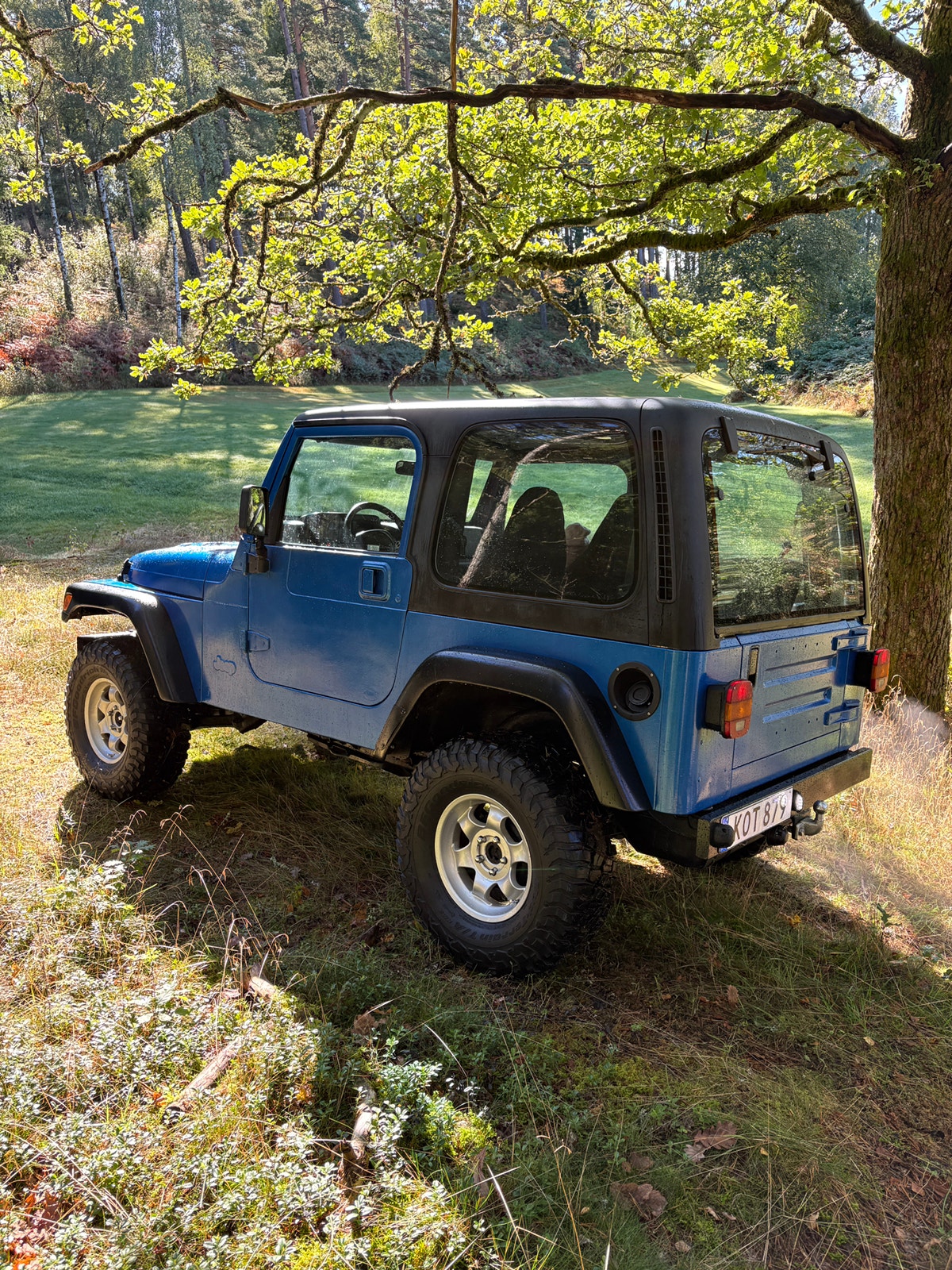 Jeep Wrangler 4.0 4WD Manuell, 183hk, 1997