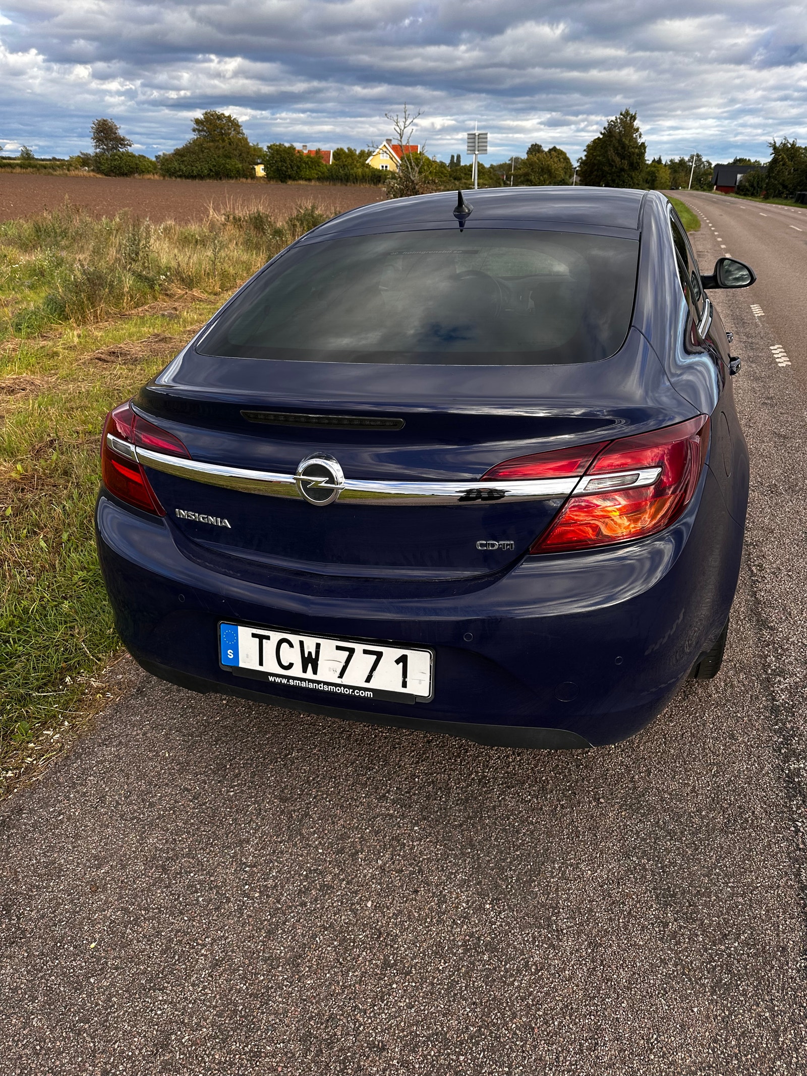 Opel Insignia 2.0 CDTI  Automatic, 163hp, 2014