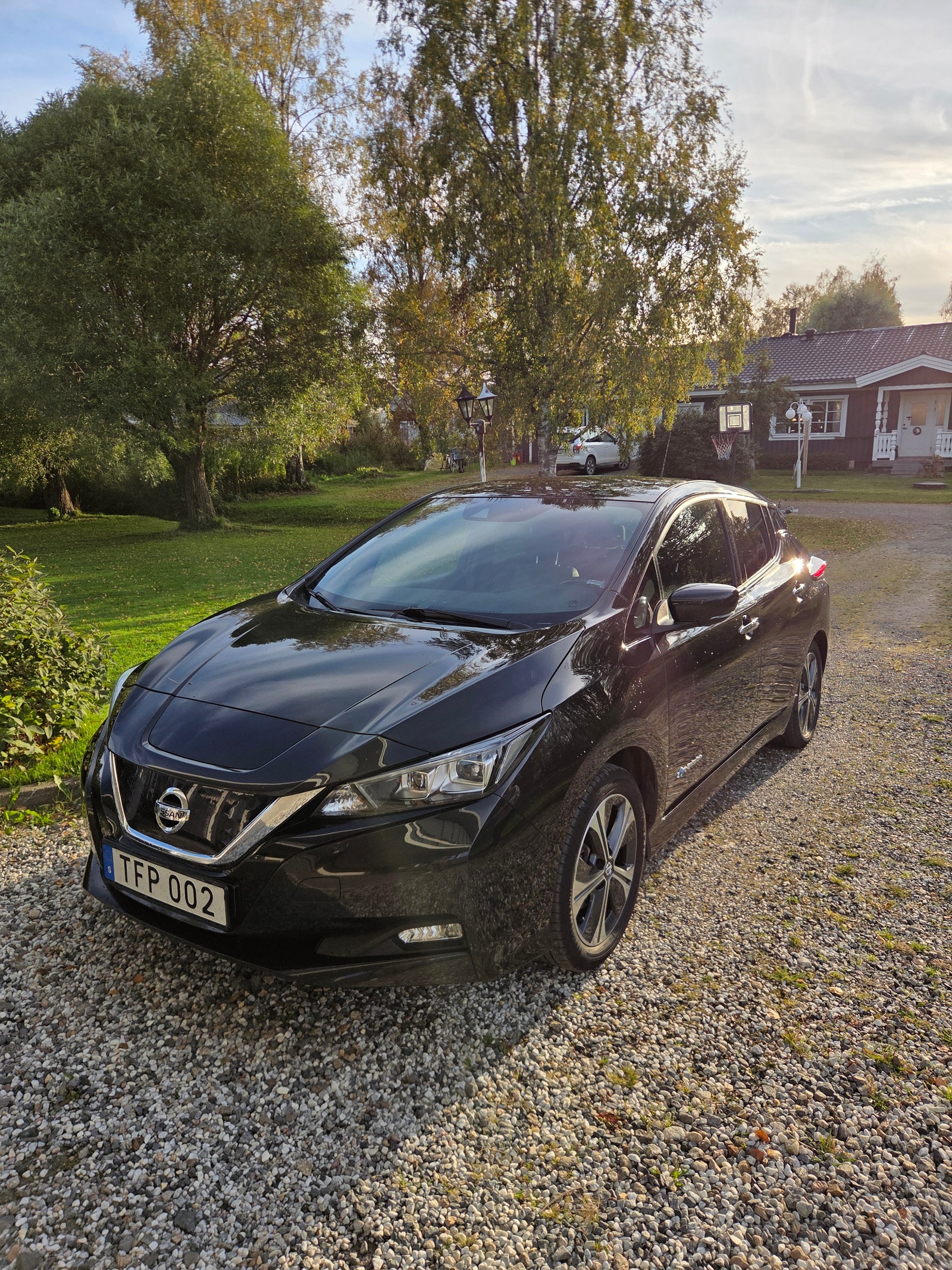 Nissan Leaf, 150ps, 2019