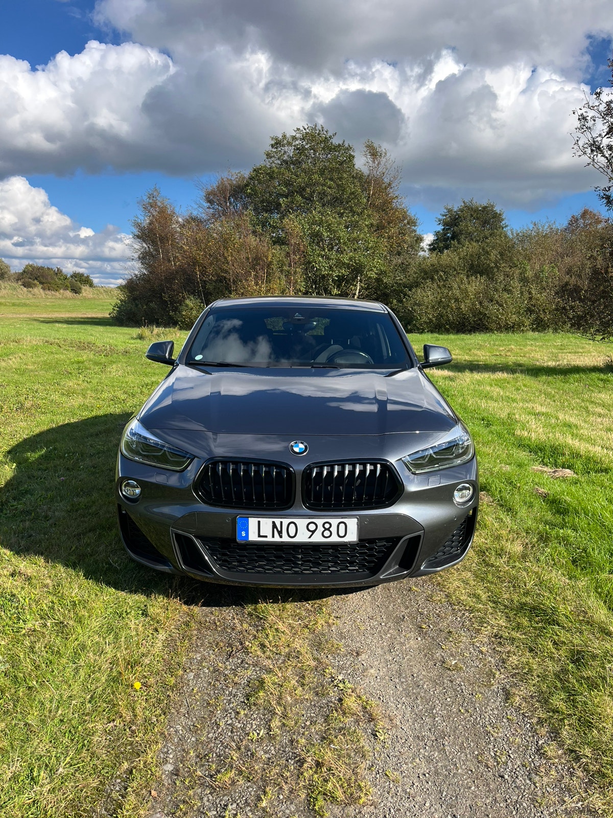 BMW X2 xDrive20d Steptronic, 190hp, 2019