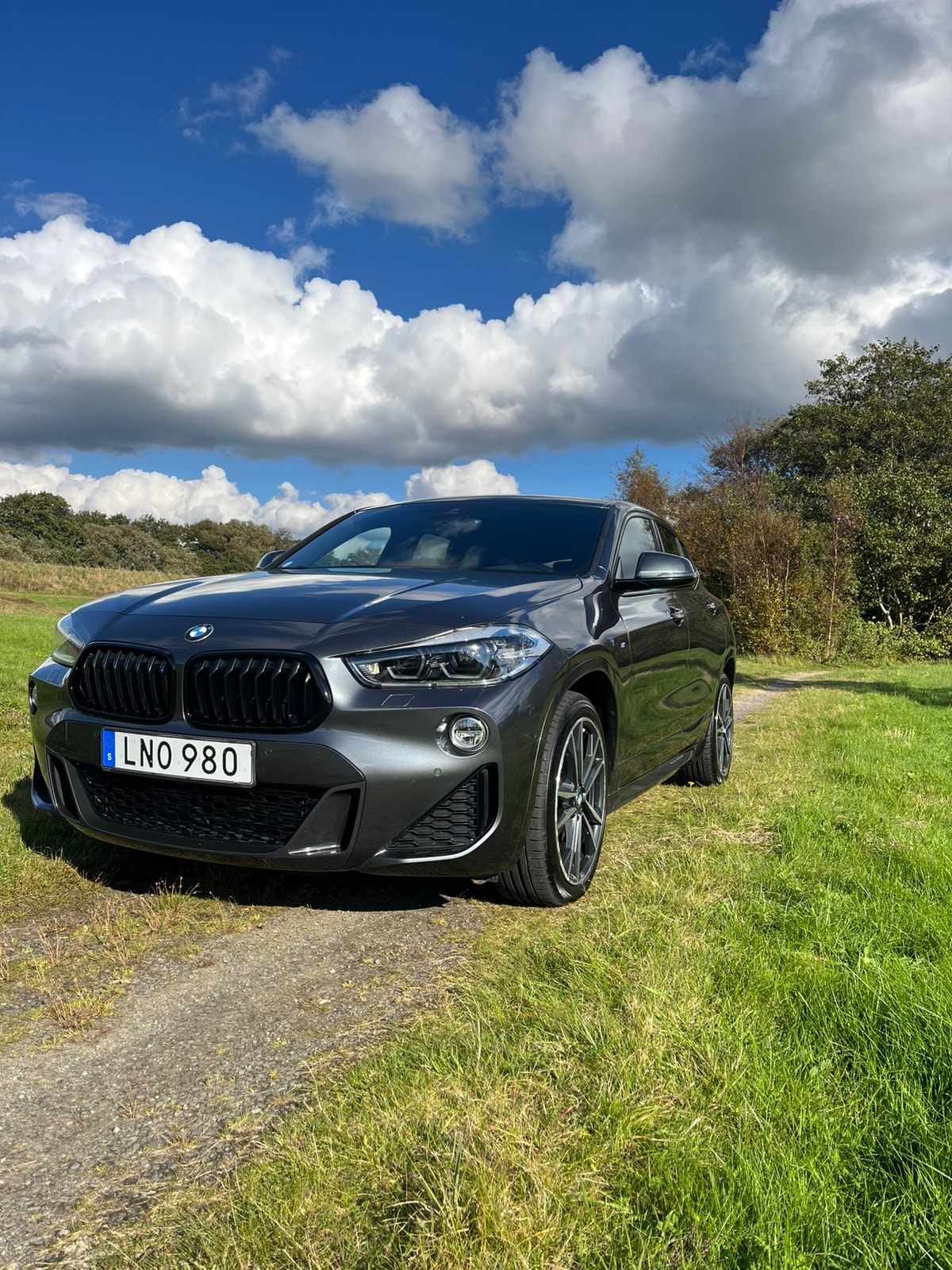 BMW X2 xDrive20d Steptronic, 190hp, 2019