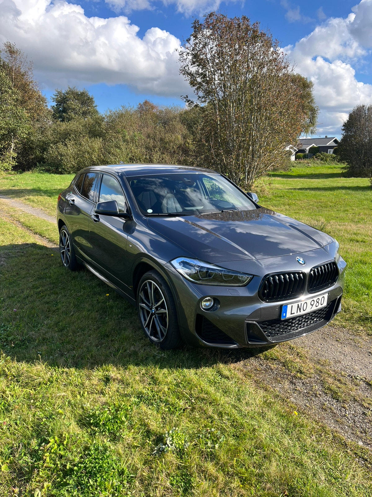 BMW X2 xDrive20d Steptronic, 190hp, 2019