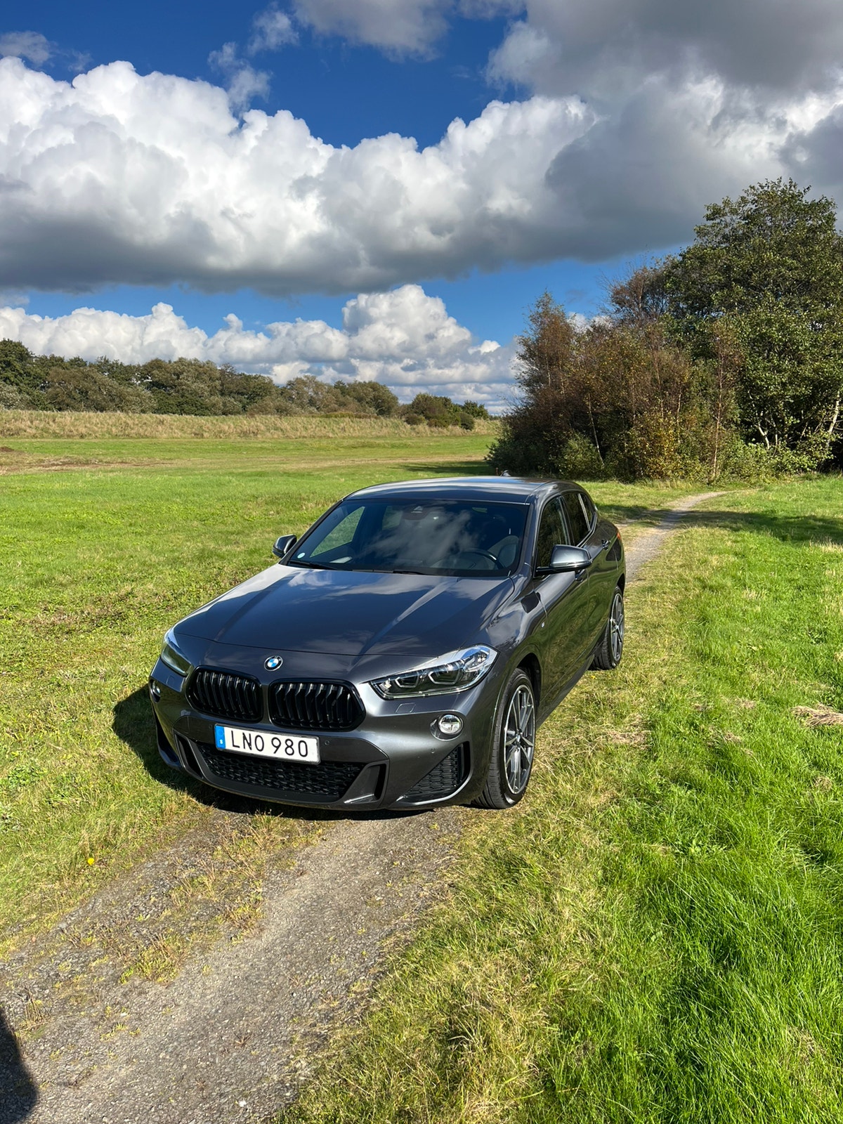 BMW X2 xDrive20d Steptronic, 190hp, 2019