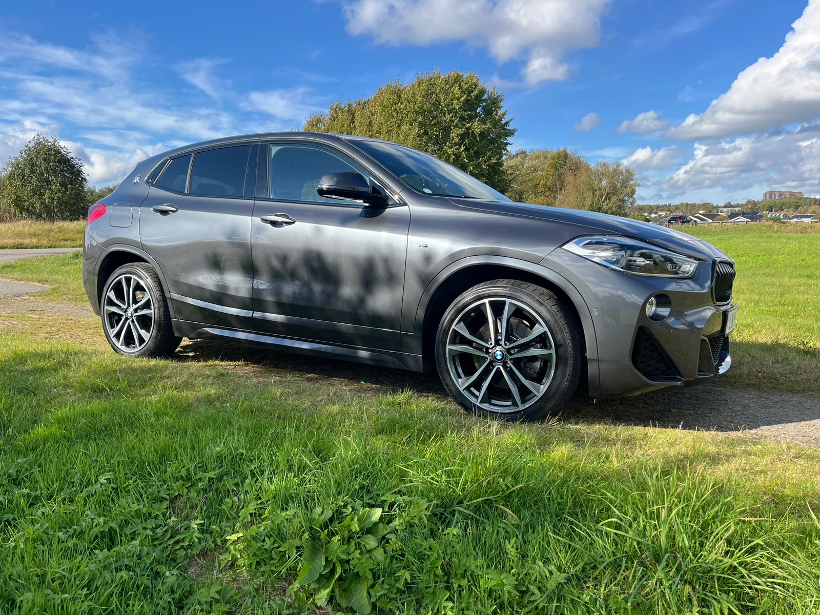 BMW X2 xDrive20d Steptronic, 190hp, 2019