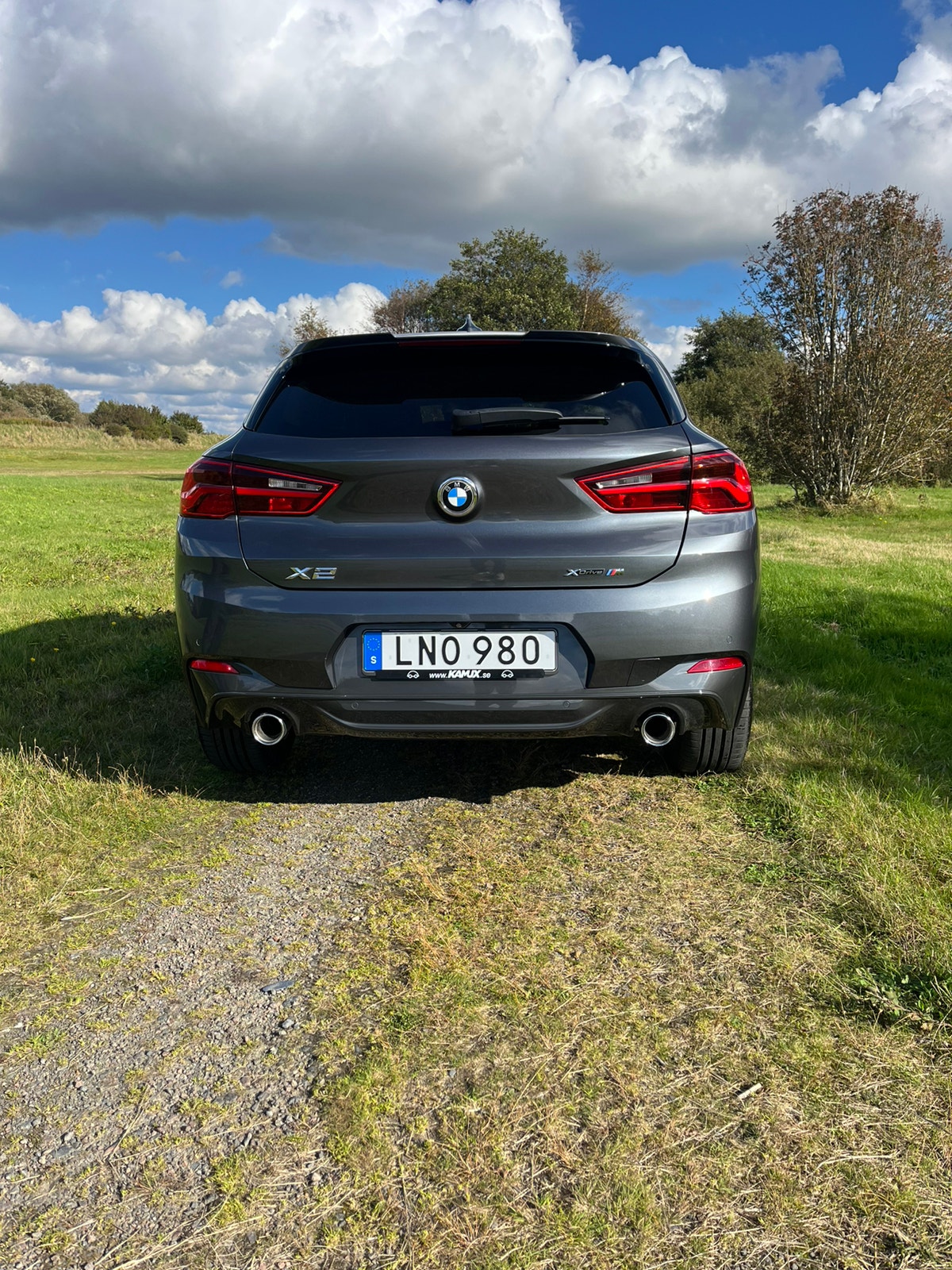 BMW X2 xDrive20d Steptronic, 190hp, 2019
