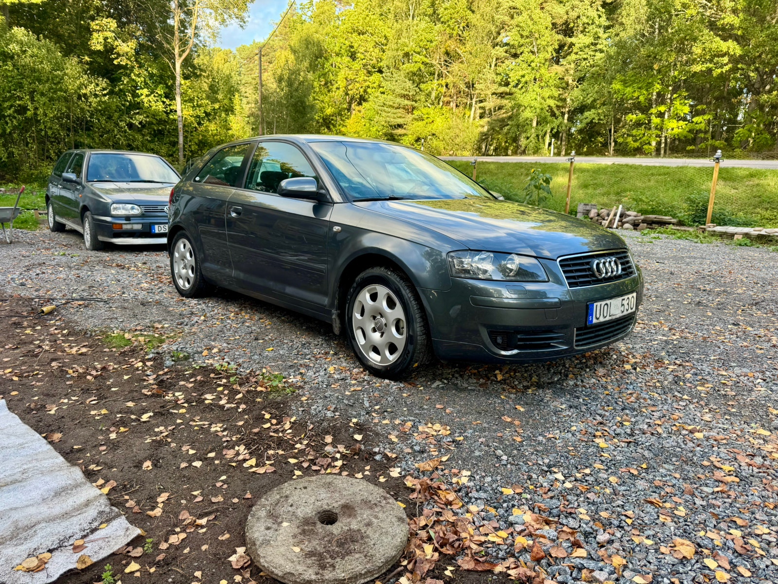 Audi A3 1.6 8v Manual, 102hp, 2004