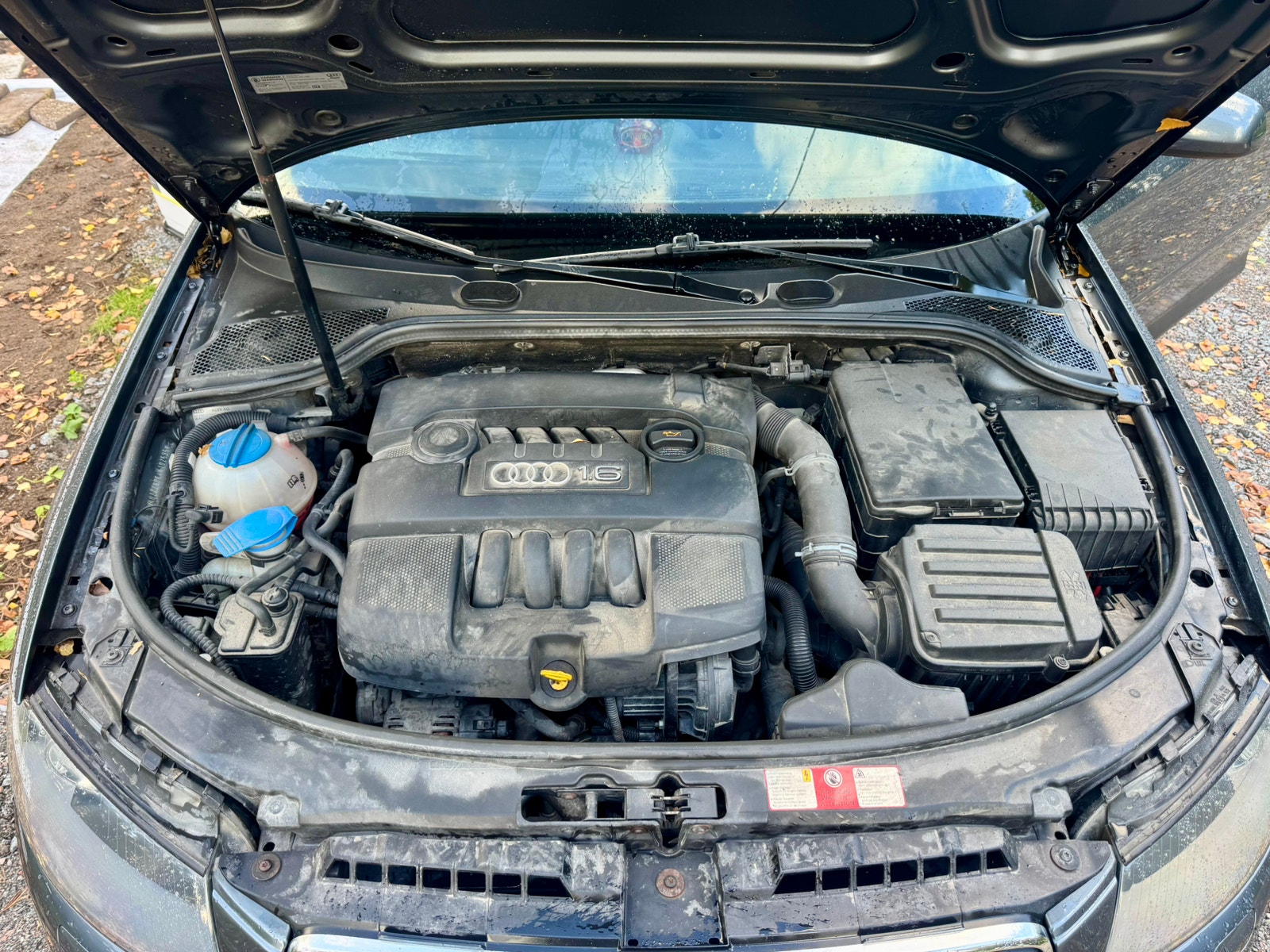Audi A3 1.6 8v Manual, 102hp, 2004