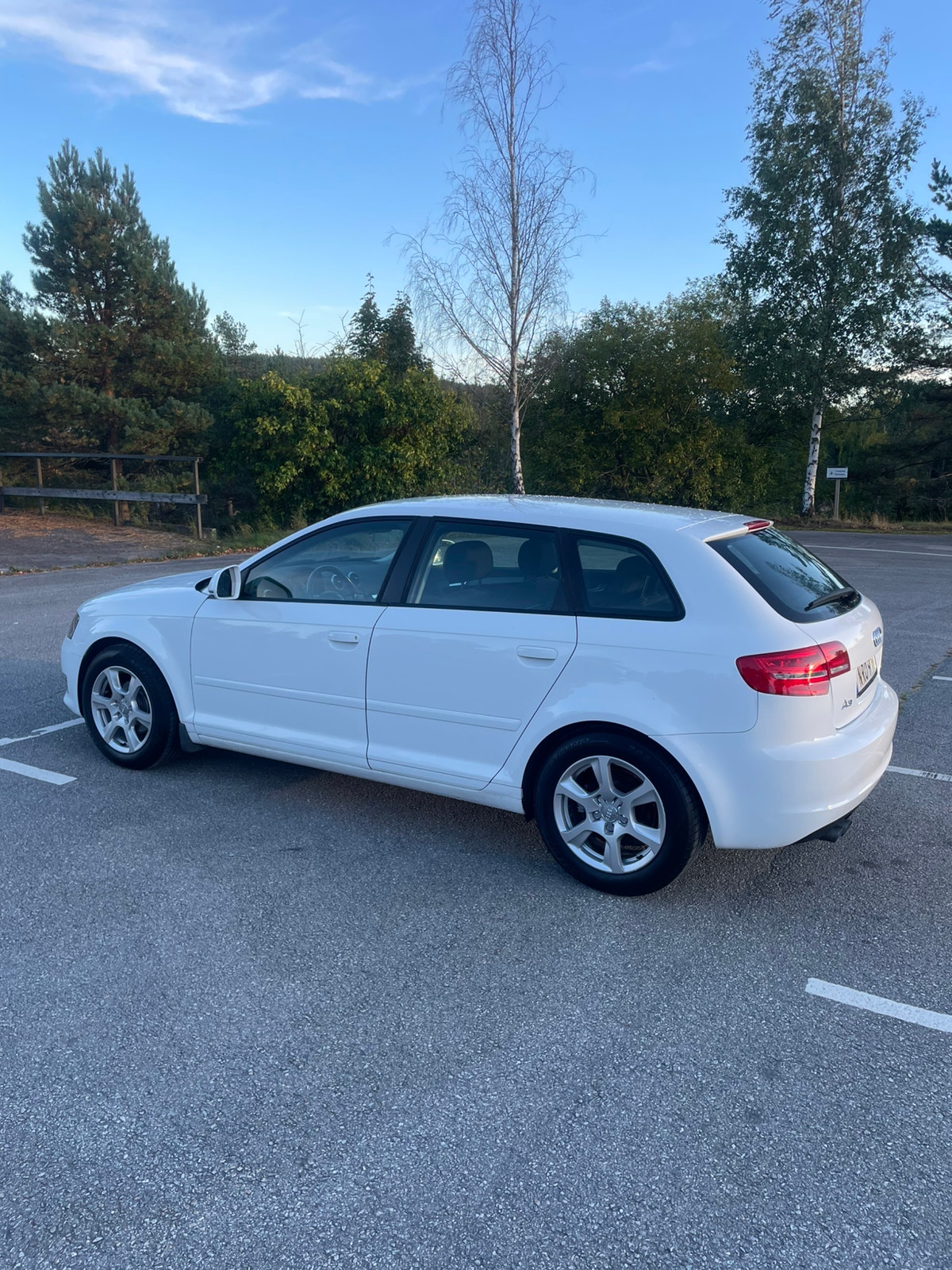 Audi A3 Sportback 1.9 TDI E-Power 8v DPF Manual, 5-trins, 105ps, 2010