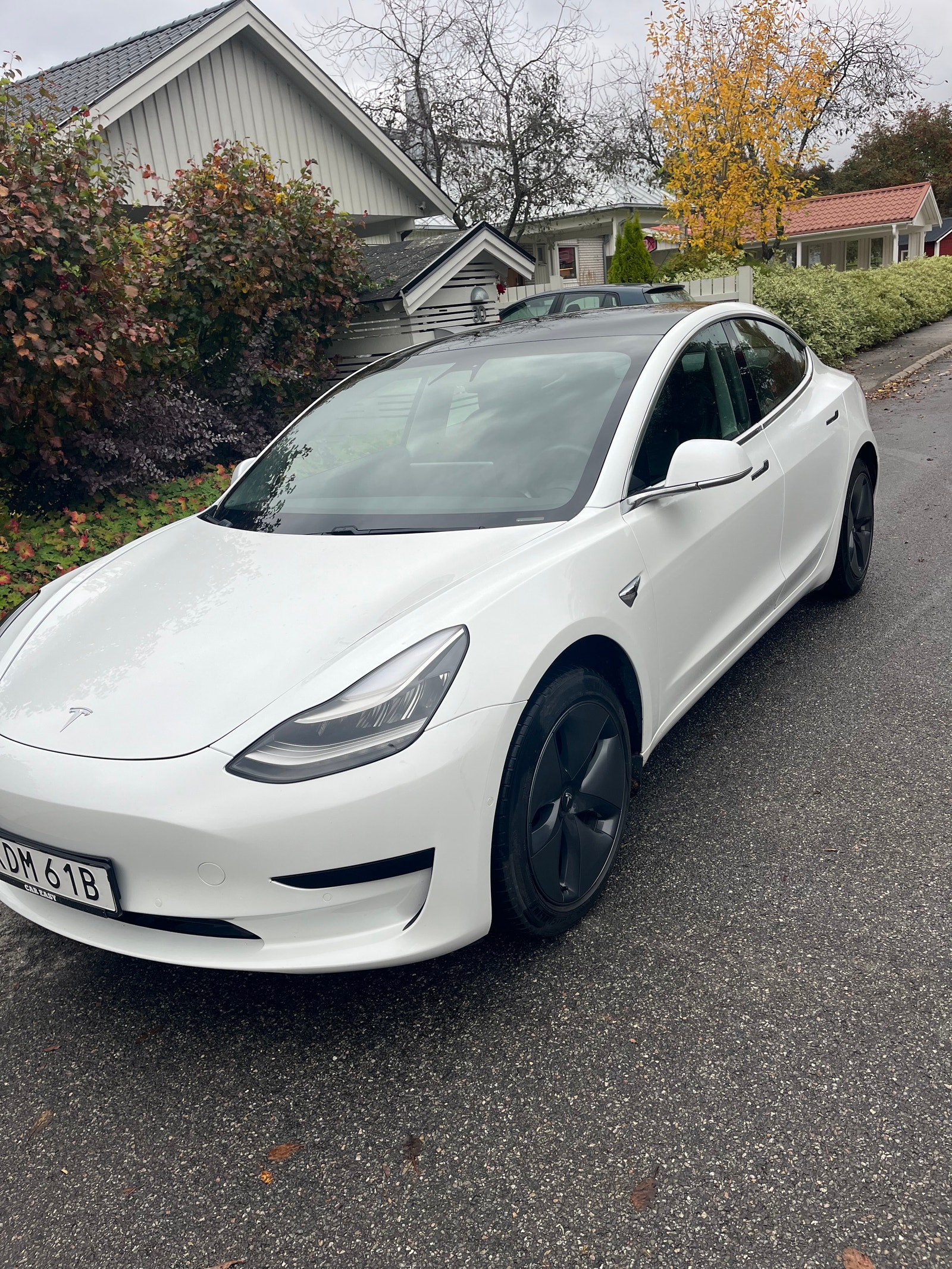 Tesla Model 3 Standard Range Plus, 325hp, 2020