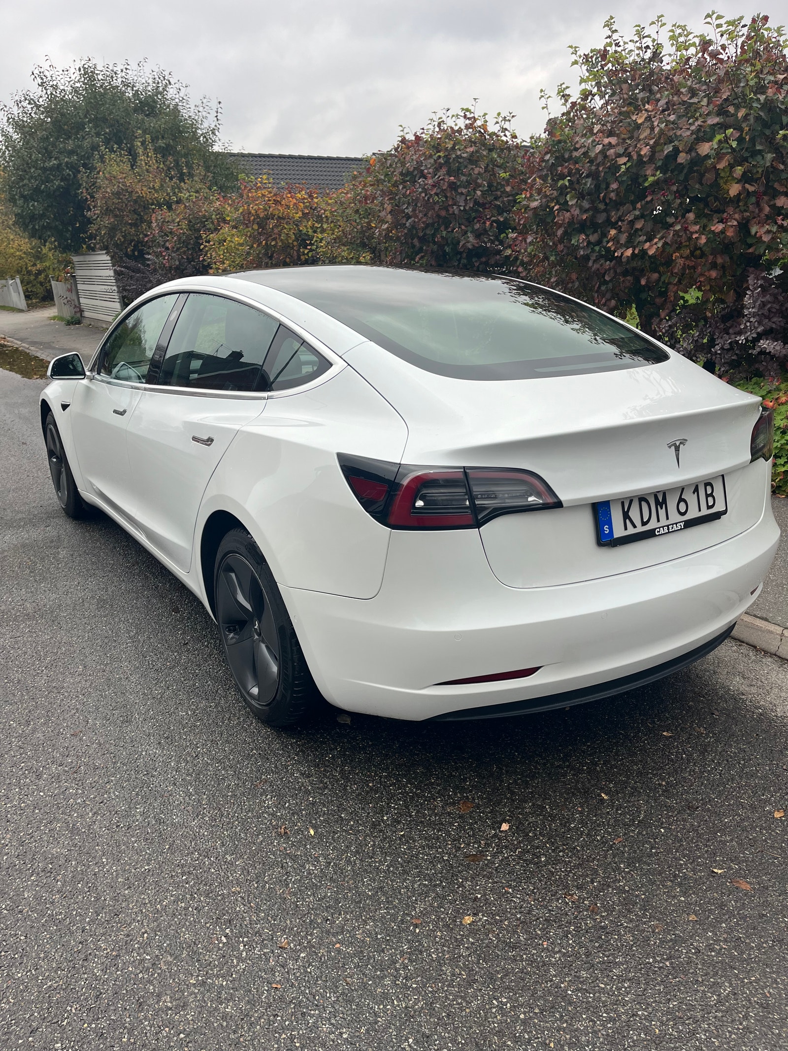 Tesla Model 3 Standard Range Plus, 325hp, 2020