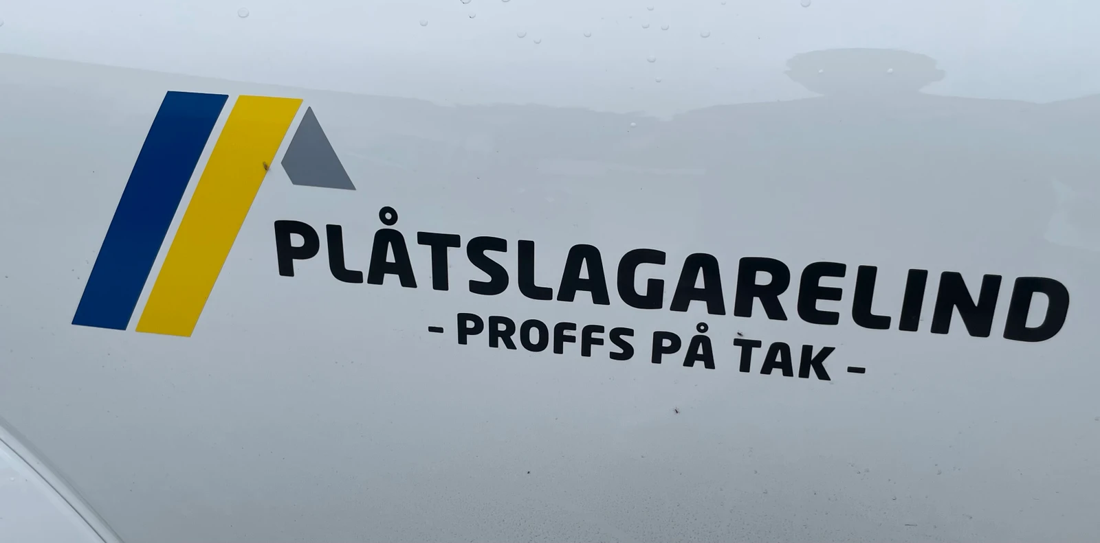 Omslagsbild för PLÅTSLAGARELIND