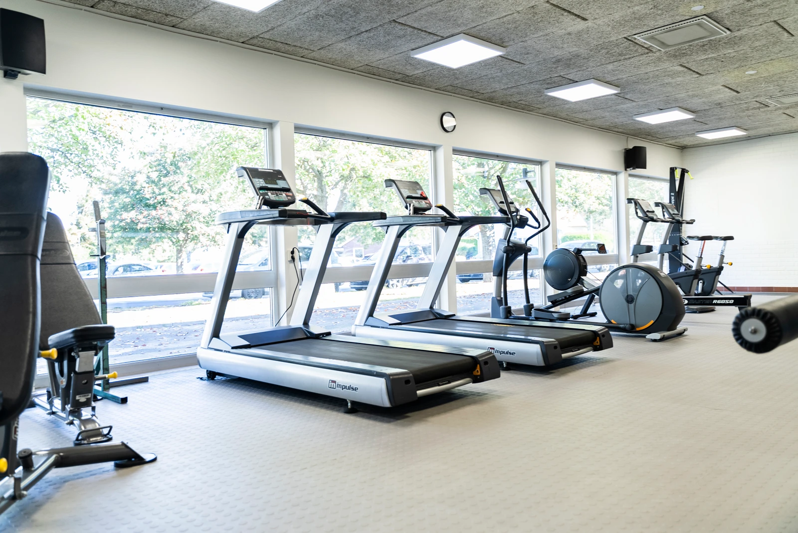 Omslagsbild för Sportgymbutiken