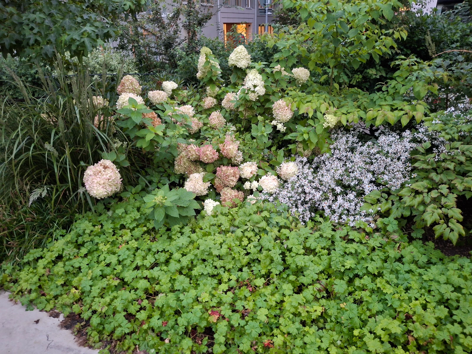 Omslagsbild för Groovy Garden Projekt AB