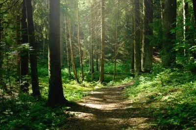 Omslagsbild för Kindsbygdens Byggvaror AB