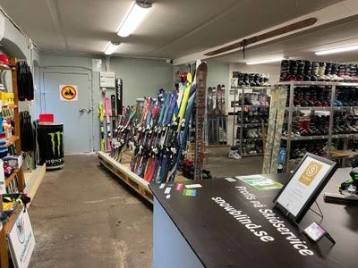 Omslagsbild för Snowblind