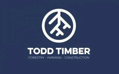 Omslagsbild för Todd Timber