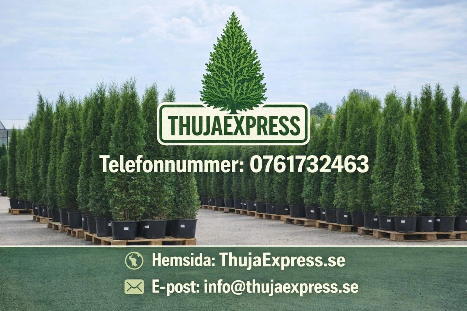 Omslagsbild för ThujaExpress