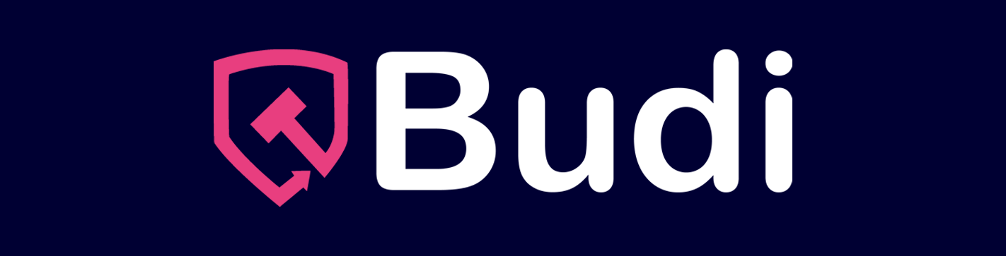 Omslagsbild för Budi AB