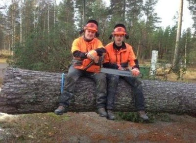 Omslagsbild för Magnus & Patrik Trädfällning AB