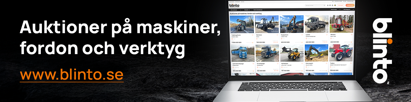 Omslagsbild för Blinto