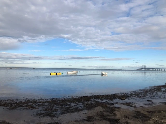 Omslagsbild för Pifas Sweden AB
