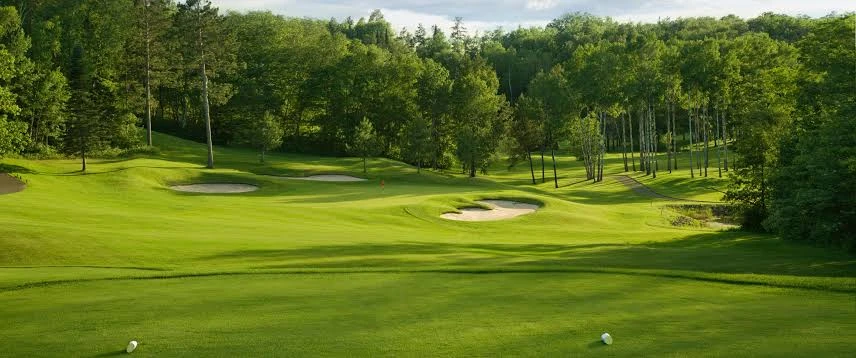 Omslagsbild för Golfbasen AB