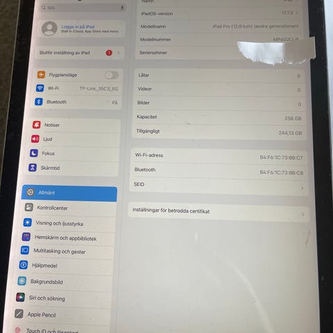 apple-ipad-surfplatta-256-gb-blocket