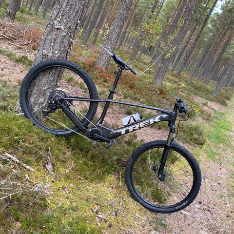 Specialized mountainbike 29