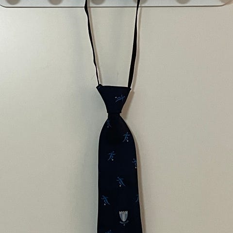 Harry Potter – trollstav, Hogwarts-märke, halsband och slips Ravenclaw ...