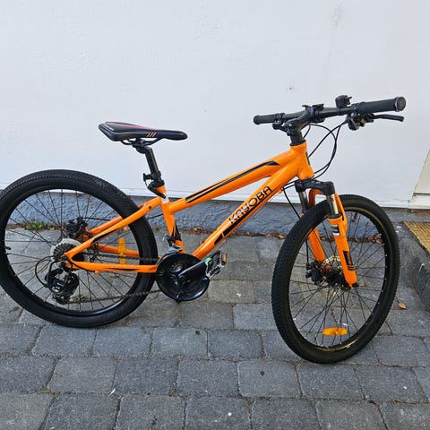 mtb 24