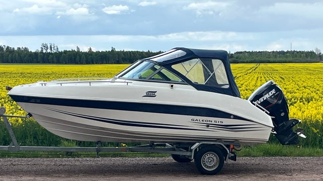 Välskött daycruiser