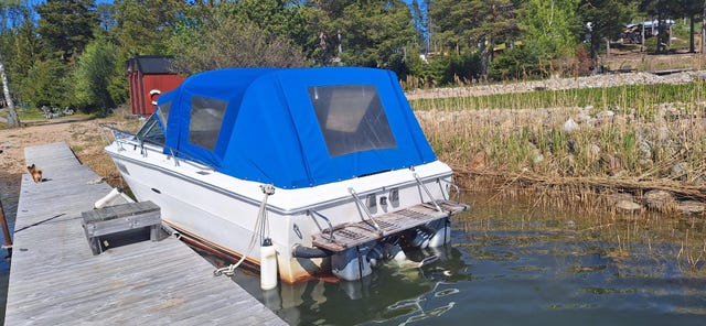 sea ray 24