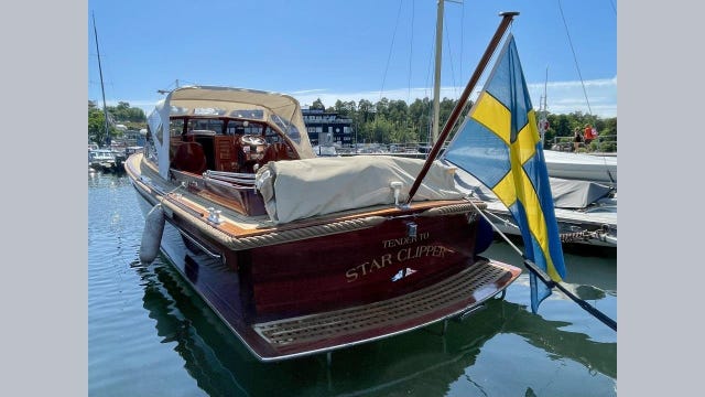 Da Vinci 29